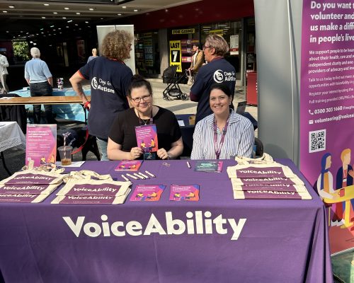 Connections Volunteer